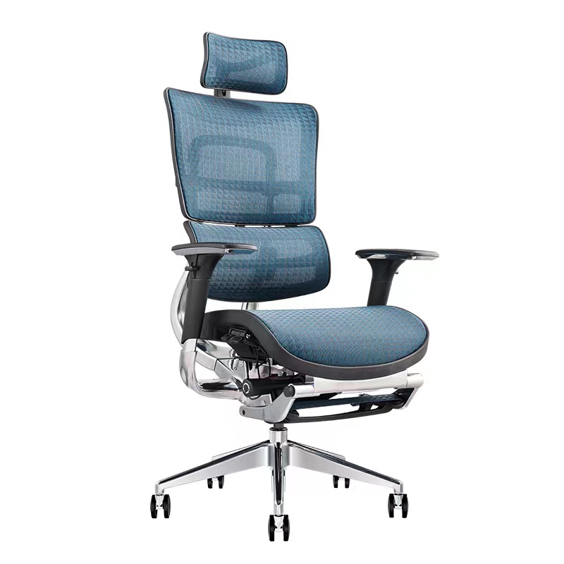 Blue Mesh Ergonomic Chair