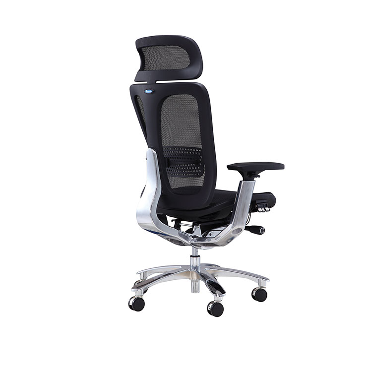 Office Mesh Chair For Back Pain