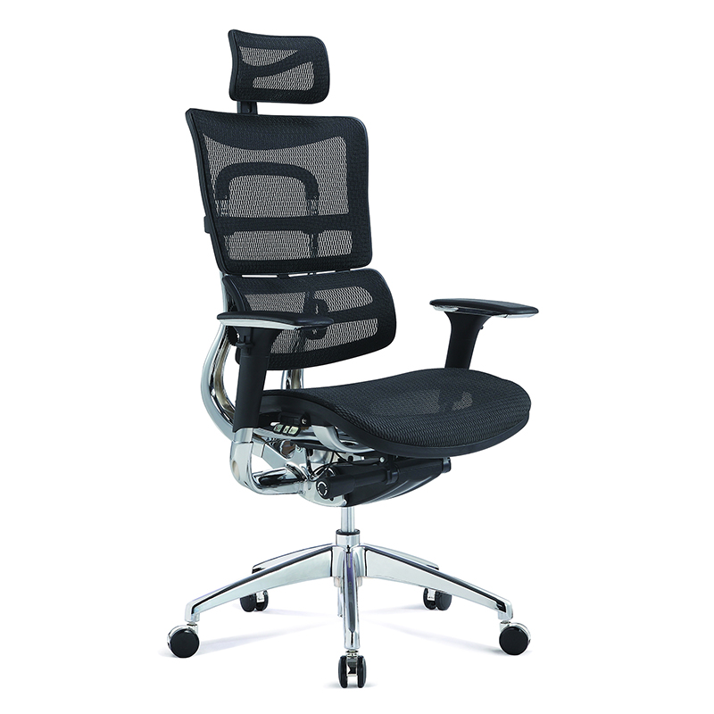 High Back Ergonomic Chair With Lumbar