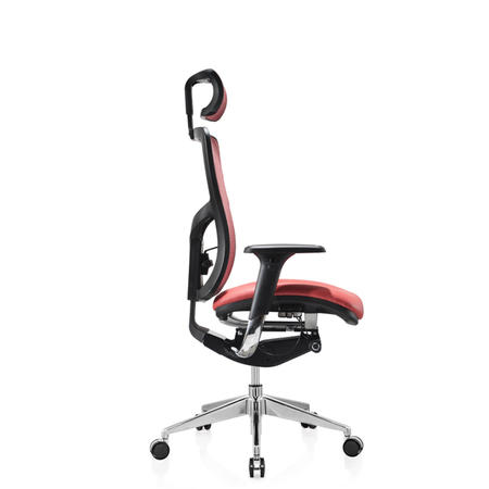 Modern Ergonomic Computer  Chair